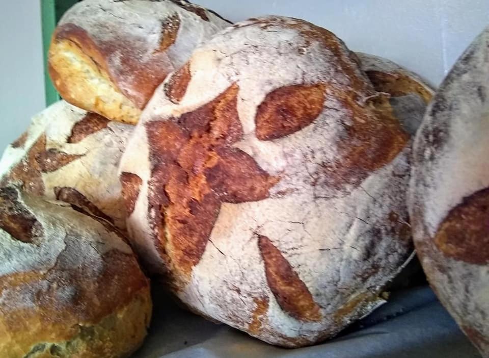 The Bear Bread Bakery B&B, Ensuite Rooms Above The Bakery, Colyton المظهر الخارجي الصورة