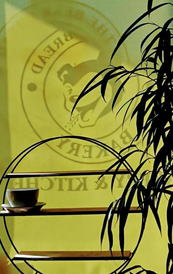 The Bear Bread Bakery B&B, Ensuite Rooms Above The Bakery, Colyton المظهر الخارجي الصورة