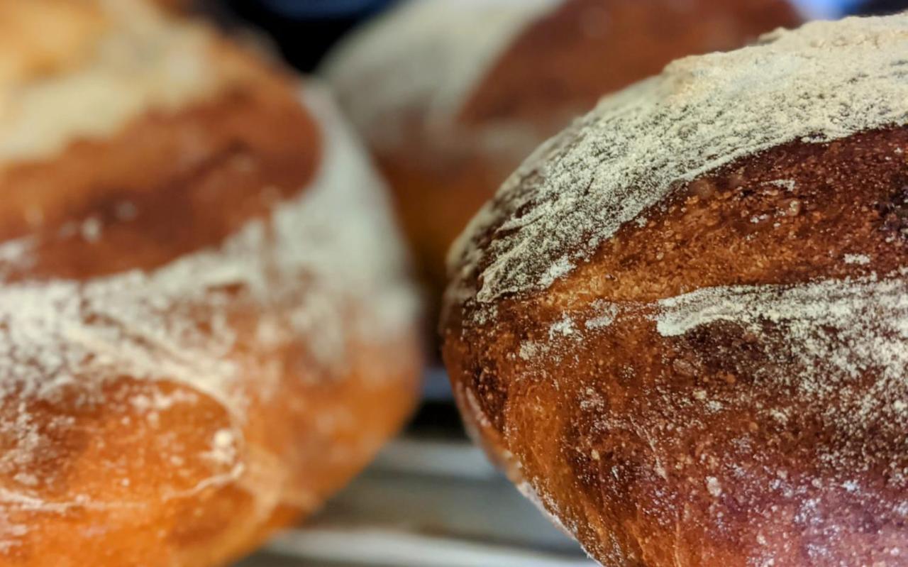 The Bear Bread Bakery B&B, Ensuite Rooms Above The Bakery, Colyton المظهر الخارجي الصورة