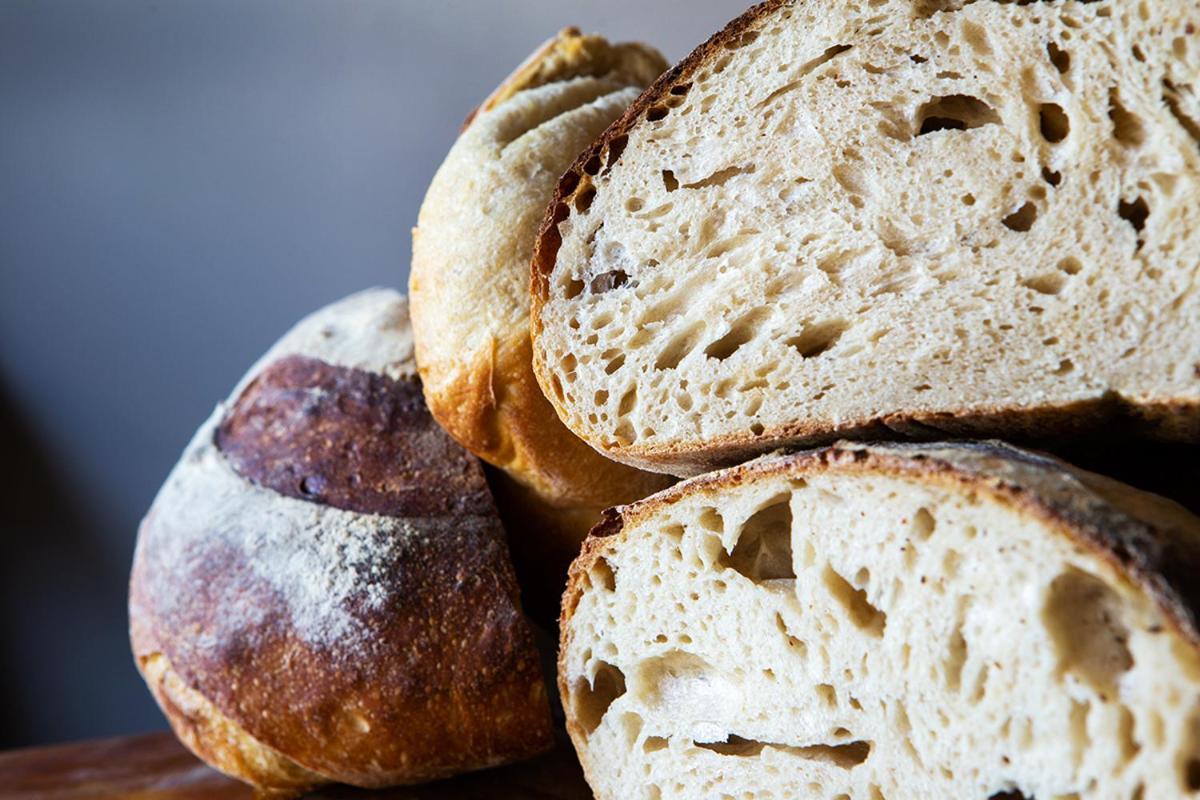 The Bear Bread Bakery B&B, Ensuite Rooms Above The Bakery, Colyton المظهر الخارجي الصورة